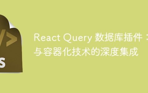 React Query 数据库插件：与容器化技术的深度集成