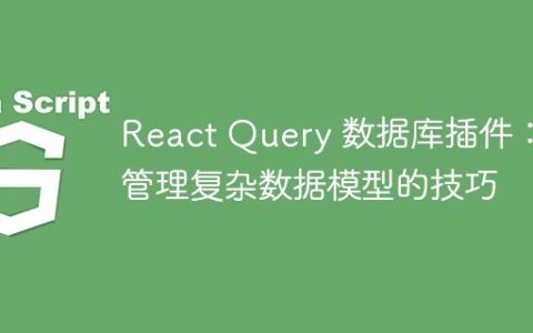 React Query 数据库插件：管理复杂数据模型的技巧