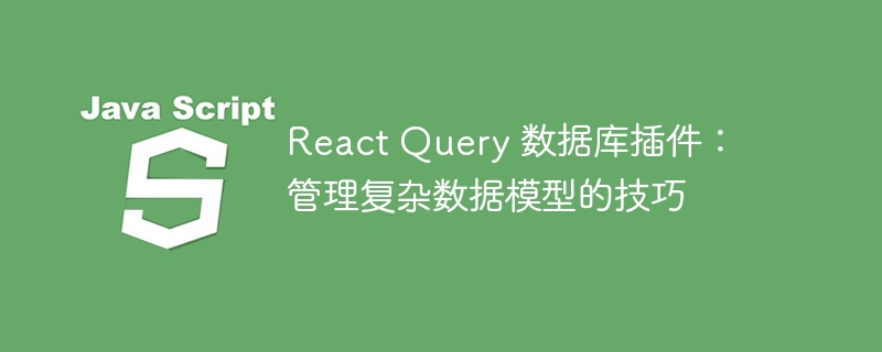 React Query 数据库插件:管理复杂数据模型的技巧