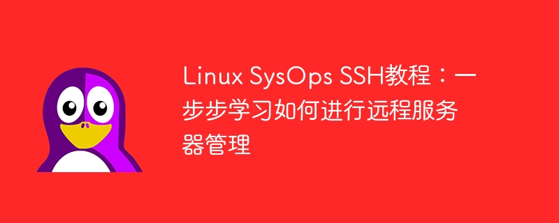 Linux SysOps SSH教程:一步步学习如何进行远程服务器管理