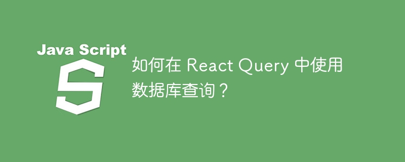 如何在 react query 中使用数据库查询?