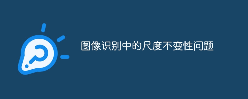 图像识别中的尺度不变性问题