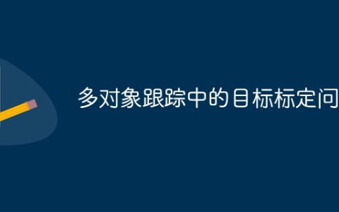 多对象跟踪中的目标标定问题