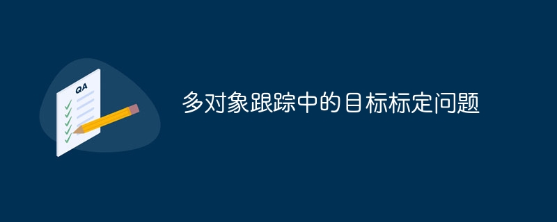 多对象跟踪中的目标标定问题