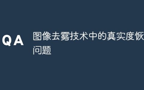 图像去雾技术中的真实度恢复问题