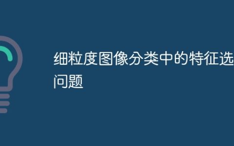 细粒度图像分类中的特征选择问题