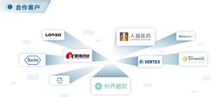 企业获市级创新型中小企业称号,AI助力创新药一站式服务
