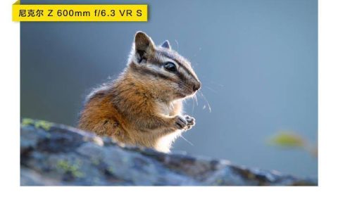 尼康发布尼克尔 Z 600mm f/6.3 VR S 远摄定焦镜头，售价为36499元