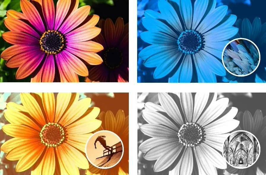 Adobe 发布 Photoshop Elements 2024:引入 AI 功能等