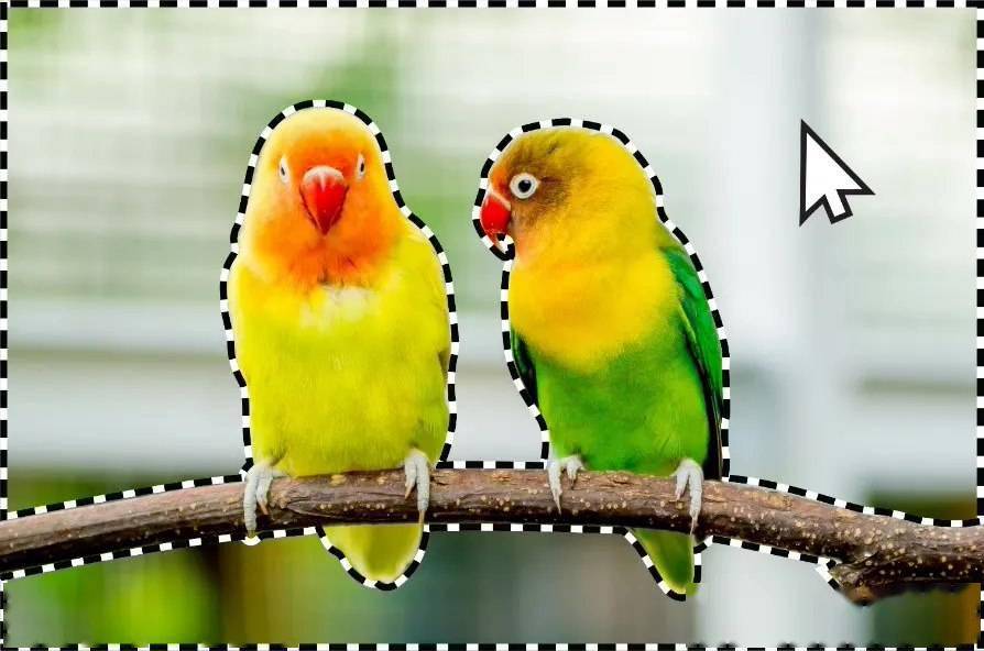 Adobe 发布 Photoshop Elements 2024:引入 AI 功能等