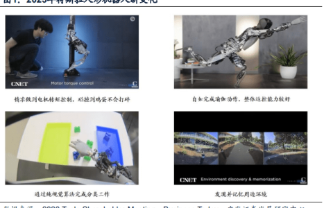 全球人形机器人行业格局：五方势力割据解析！