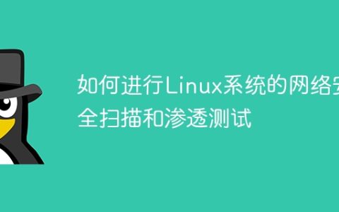 如何进行Linux系统的网络安全扫描和渗透测试