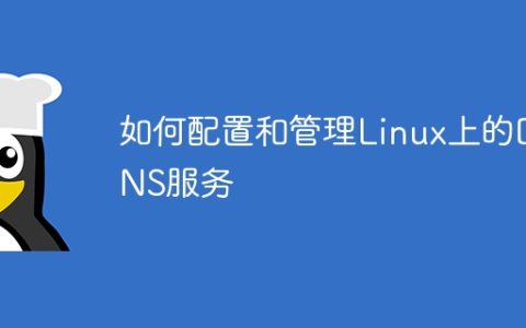 如何配置和管理Linux上的DNS服务