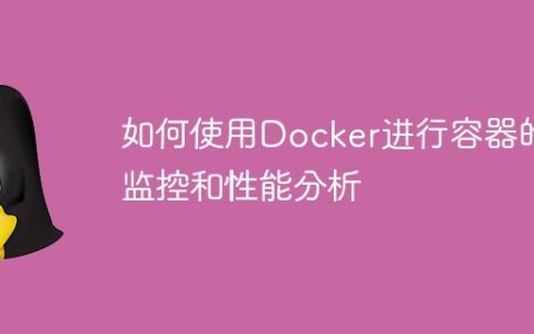 如何使用Docker进行容器的监控和性能分析