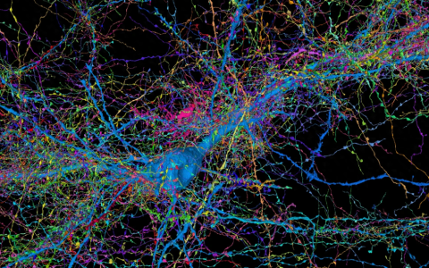 谷歌科学家 Nature 评论：人工智能如何更好地理解大脑