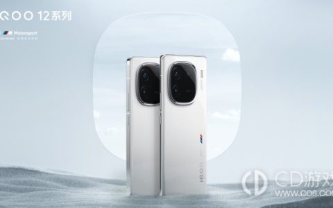 iQOO12怎么设置应用权限管理?iQOO12怎么更改应用权限管理