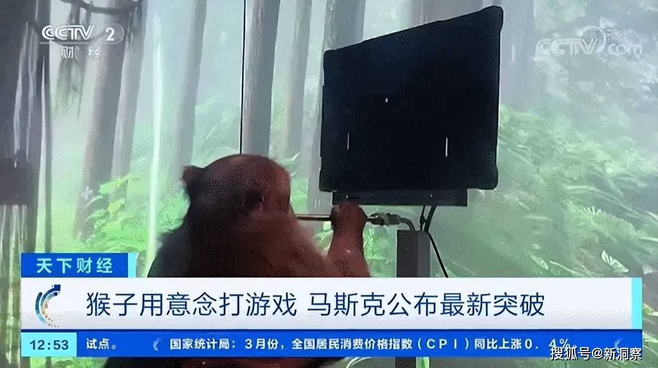 标题重写:韩国发生机器人杀人事件,识别技术失灵!