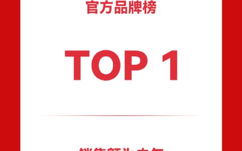 雷鸟 XR 双 11 战报：全平台品牌销量第一，同比增长 4.1 倍
