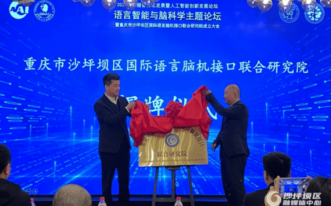 沙坪坝区国际语言脑机接口联合研究院揭牌成立