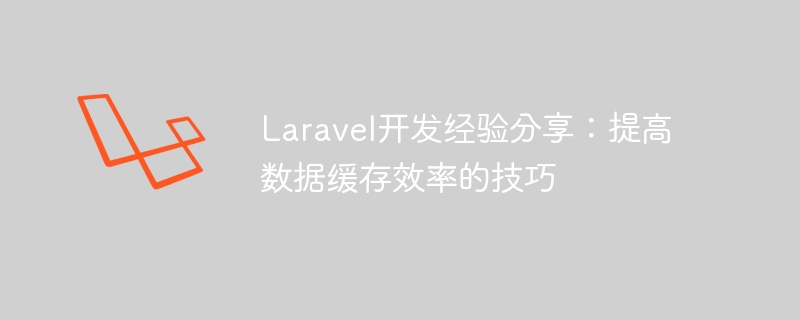 laravel开发经验分享：提高数据缓存效率的技巧