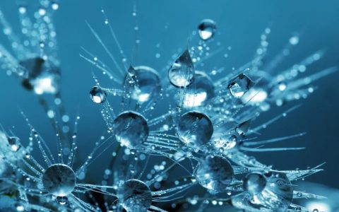 清华团队提出知识引导的图 Transformer 预训练框架：提高分子表征学习的方法