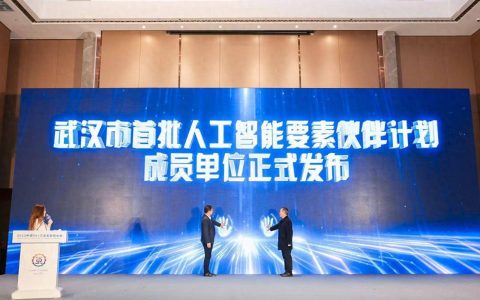 武汉揭晓首批“人工智能伙伴”名单，30家机构获选