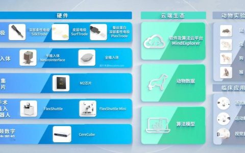 柔性脑机接口整体解决方案：脑虎科技全力打造