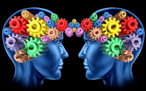 人工智能与神经科学：揭开人脑的奥秘