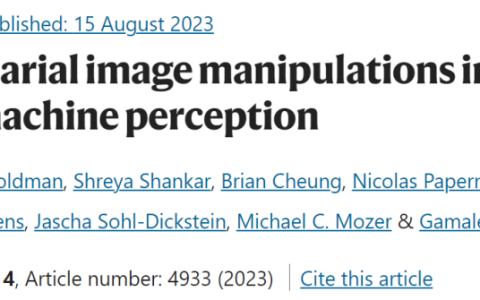 谷歌DeepMind研究发现：对抗性攻击可影响人类和AI的视觉识别，将花瓶误认为猫！