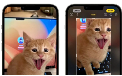 iOS 17 “照片”应用的新操作逻辑指南