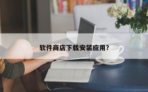 获取和安装应用程序的软件商店