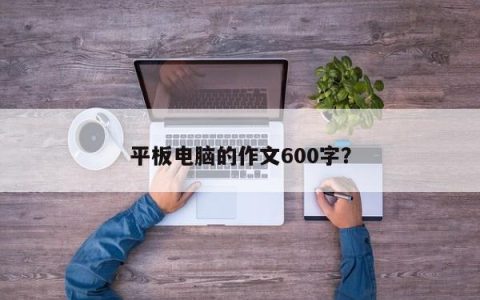 写一篇600字的关于平板电脑的作文