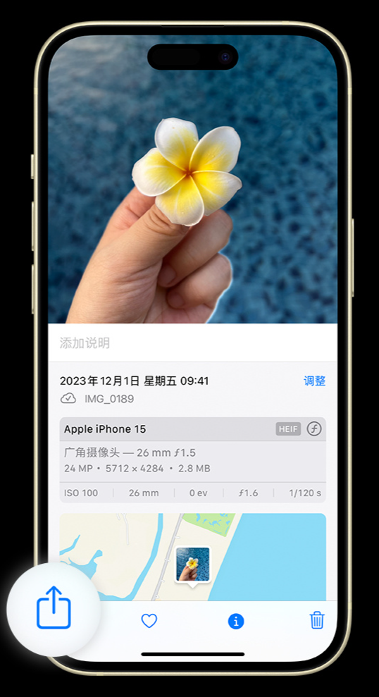 在 iPhone 上如何将照片转为 JPG 格式以便与他人分享?