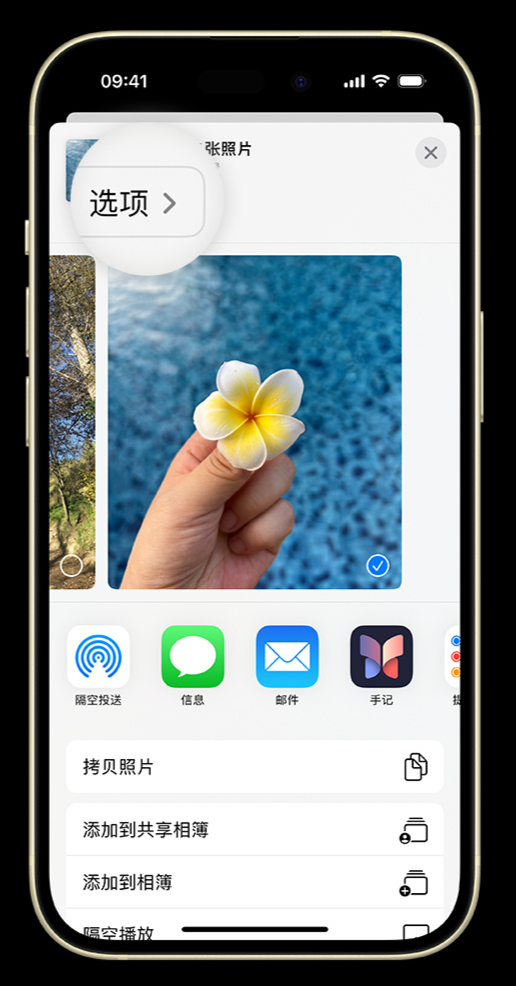在 iPhone 上如何将照片转为 JPG 格式以便与他人分享?