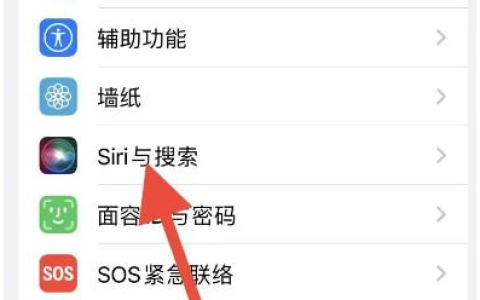 如何清除苹果iPhone 15中与Siri的对话记录？