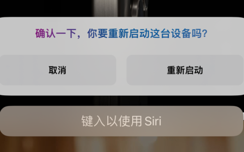 利用 Siri 快速重启 iPhone 15 系列机型的方法
