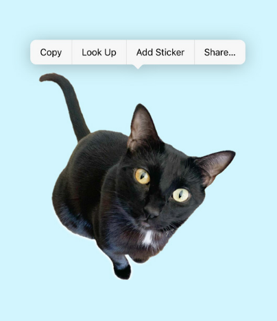 iOS 17的新细节改进值得关注：离线地图的实用性提升，以及了解菜谱的图像搜索功能