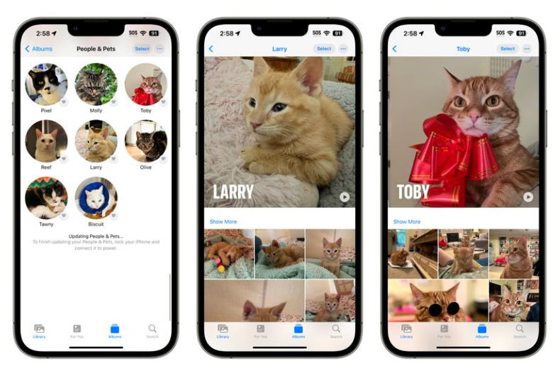 iOS 17 值得留意的细节改进汇总:实用离线地图、支持看图查询菜谱等