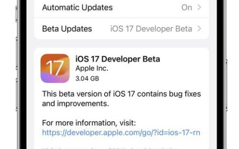快速升级至iOS 17 beta的方法分享