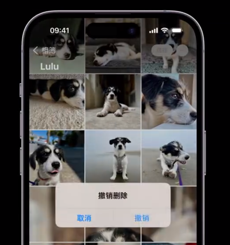iPhone “摇动以撤销”可以在哪些应用中使用?