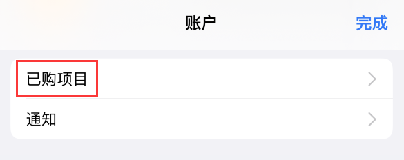 如何在 iPhone 上查看和重新下载 App Store 已购项目?