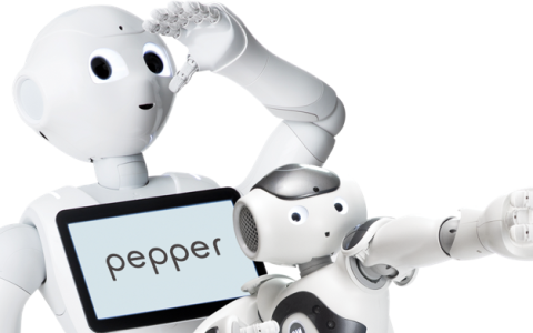 智能对话在区政府会议中心中的Pepper机器人