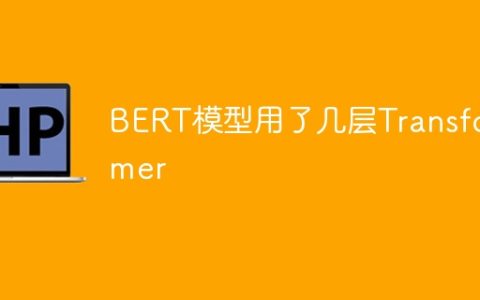 BERT模型中使用了多少个Transformer层？