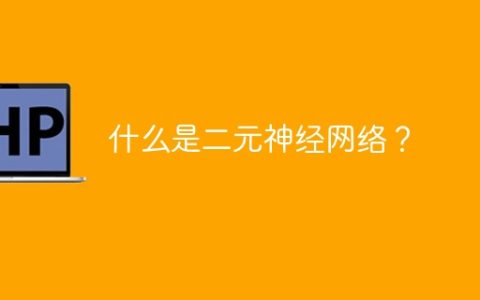 解析二元神经网络的功能和原理