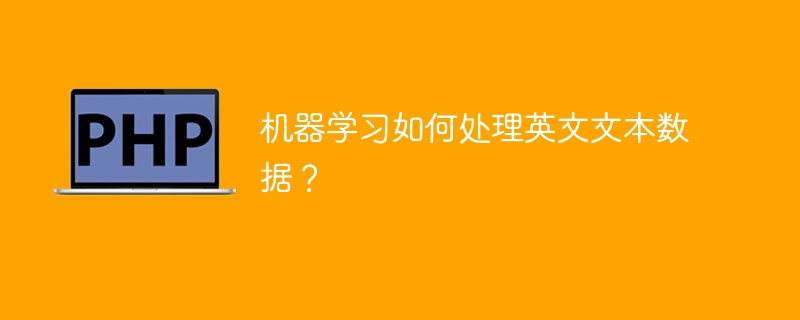 英语文本数据的机器学习处理方法
