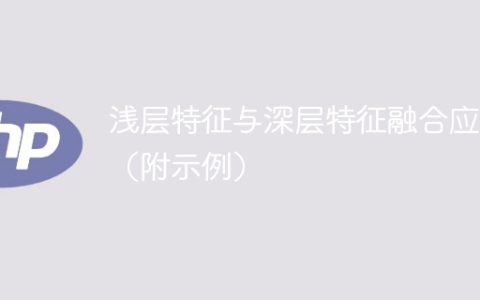 浅层特征与深层特征的结合在实际应用中的示例