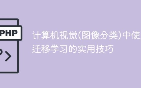 使用迁移学习的实用技巧在计算机视觉应用中的图像分类