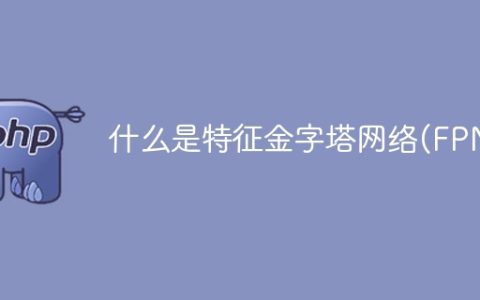 特征金字塔网络(FPN)的定义和作用是什么？