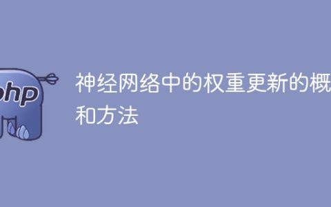 神经网络中权重更新的理论和技巧