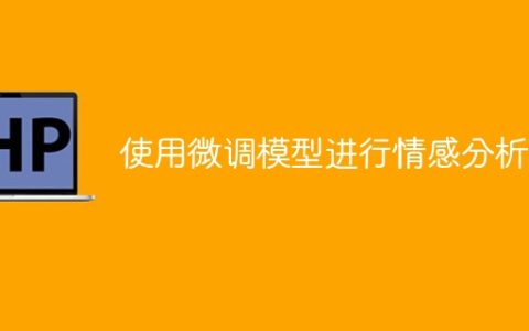 运用模型微调进行情感分析